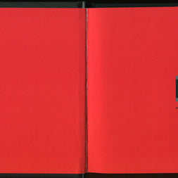 Interpol : Turn On The Bright Lights (CD, Album, RE, RM + CD, Comp + DVD-V, NTSC + Dlx, )