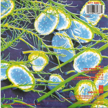 The Soup Dragons : I'm Free (7", Single)