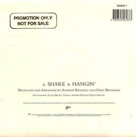 Andrew Ridgeley : Shake (7", Single)