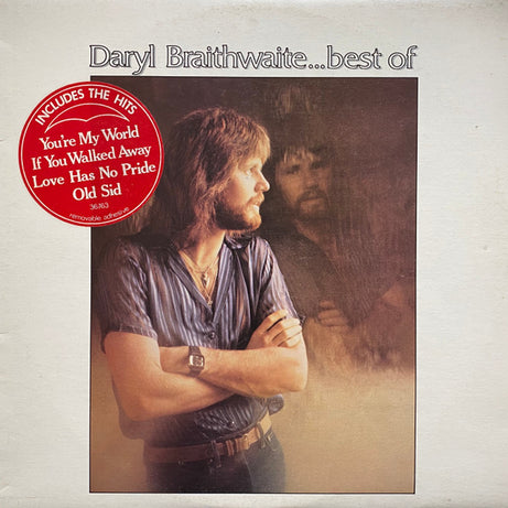 Daryl Braithwaite : Best Of (LP, Comp)