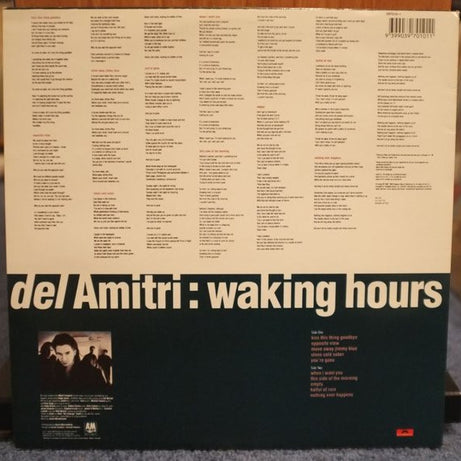 Del Amitri : Waking Hours (LP, Album, RE)