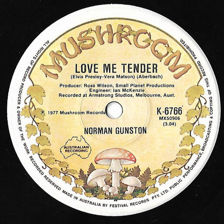 Norman Gunston : I Might Be A Punk (But I Love You Baby) (7", Single)