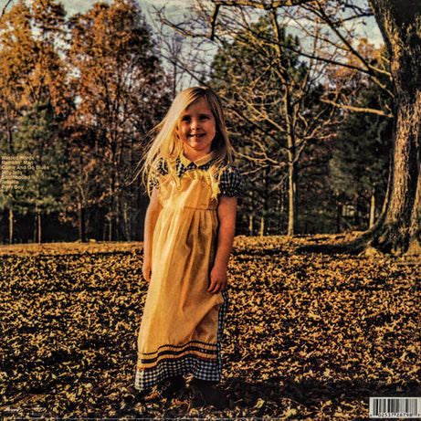 The Allman Brothers Band : Brothers And Sisters (LP, Album, RE, RM)