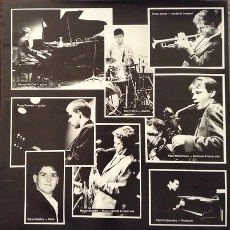 Vince Jones : It All Ends Up In Tears (LP, Album)