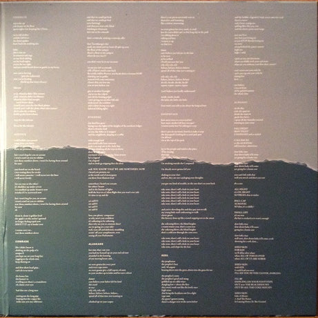 Volcano Choir : Repave (LP, Album)