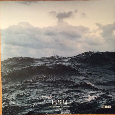 Volcano Choir : Repave (LP, Album)