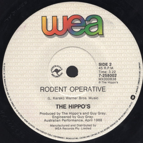 The Hippos* : Dark Age (7", Single)