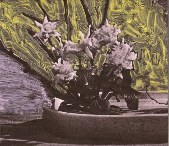 White Walls (3) : White Walls (LP, Album)