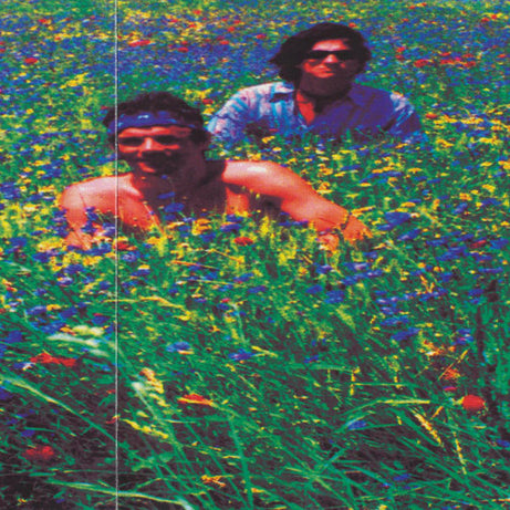 The Deniz Tek Group : Le Bonne Route (CD, Album)