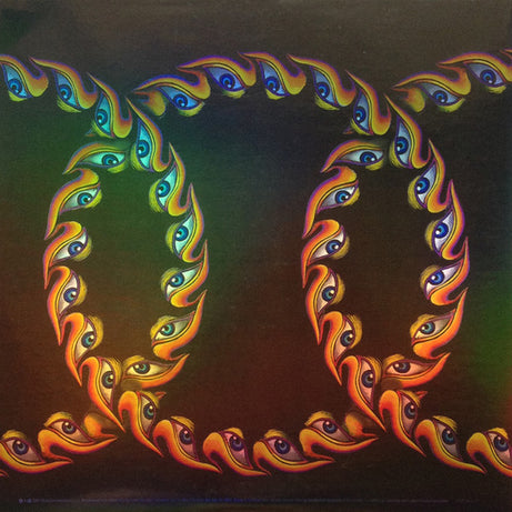 Tool (2) : Lateralus (2xLP, Album, Ltd, Pic, RE, 180)