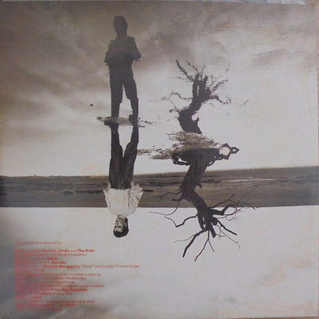 Nik Kershaw : The Riddle (LP, Album)