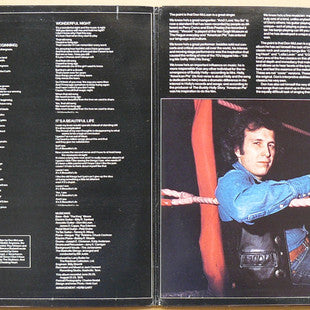 Don McLean : Chain Lightning (LP, Album, Gat)
