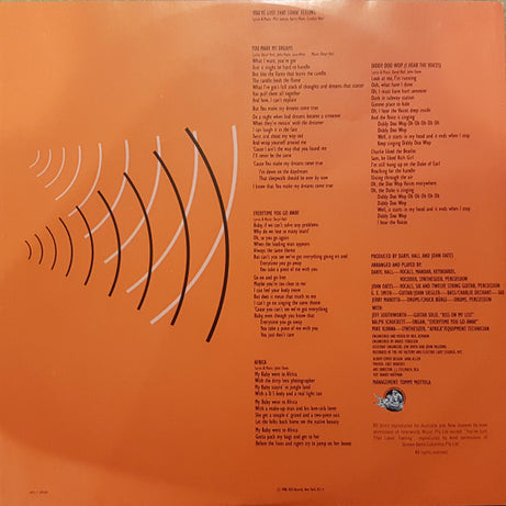 Daryl Hall & John Oates : Voices (LP, Album)