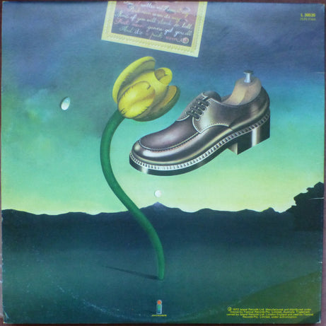 Nick Drake : Pink Moon (LP, Album, RE)