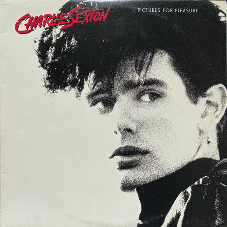 Charlie Sexton : Pictures For Pleasure (LP, Album)