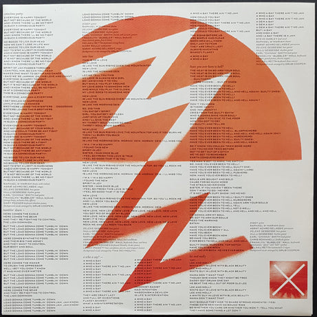 Ziggy Marley And The Melody Makers : Conscious Party (LP, Album)