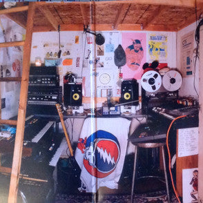 Mac DeMarco : Salad Days (LP, Album, Gat)