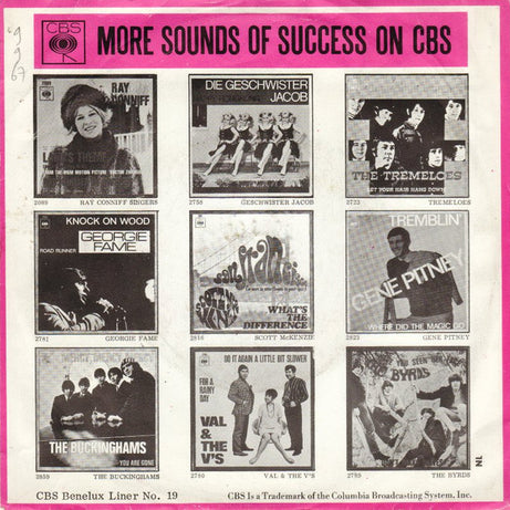The Buckinghams : Hey Baby (7", Mono)