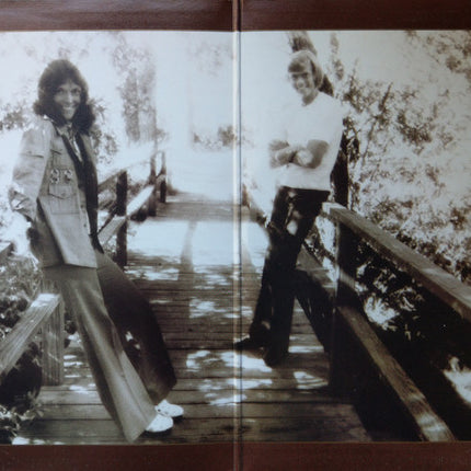 Carpenters : Great Hits Of The Carpenters Vol II 1969-1973 (LP, Comp, Gat)