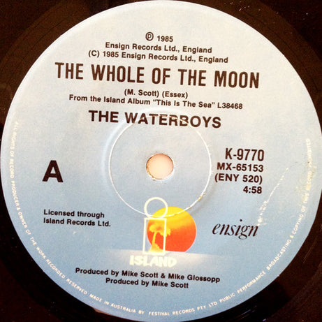 The Waterboys : The Whole Of The Moon (7", Single)