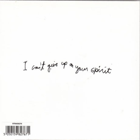 Antony And The Johnsons with Boy George : You Are My Sister (7", Single)