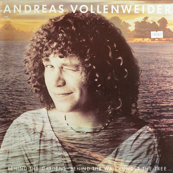 Andreas Vollenweider : ...Behind The Gardens - Behind The Wall - Under The Tree... (LP, Album)