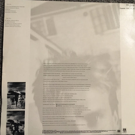 Sting : The Dream Of The Blue Turtles (LP, Album)