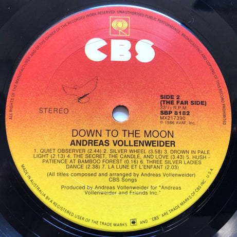 Andreas Vollenweider : Down To The Moon (LP, Album)