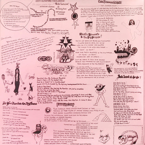 Ariel Pink : Pom Pom (2xLP, Album)