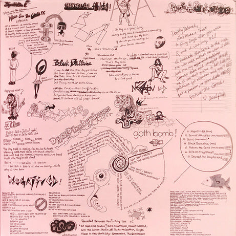 Ariel Pink : Pom Pom (2xLP, Album)