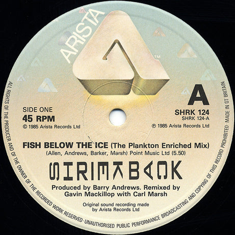 Shriekback : Fish Below The Ice (12", Single)