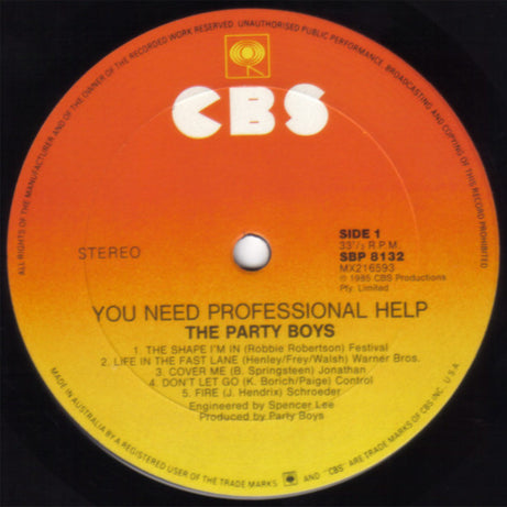 The Party Boys (3) : You Need Professional Help (LP, Album)