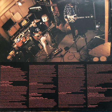 Beastie Boys : Check Your Head  (2xLP, Album, Gat)