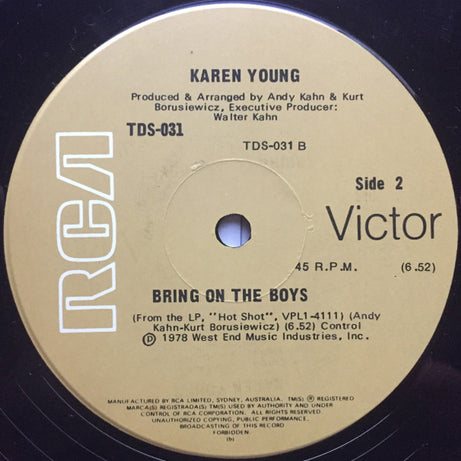 Karen Young : Hot Shot (12", Single)