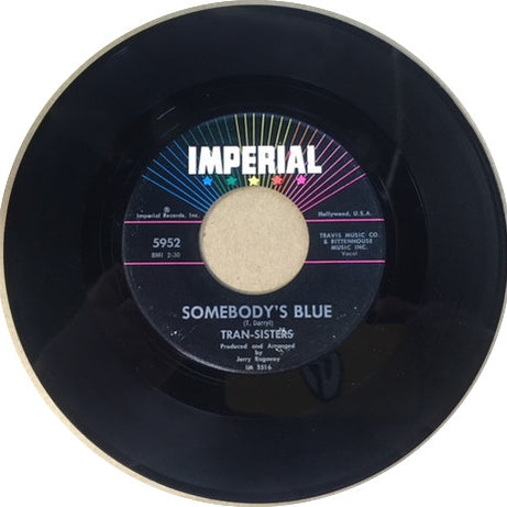 Tran-Sisters : You Could've Knocked Me Over / Somebody's Blue (7")