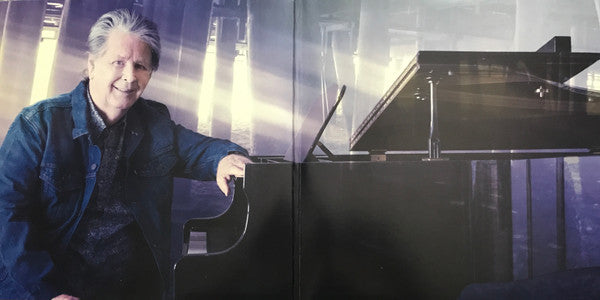 Brian Wilson : No Pier Pressure (2xLP, Album)