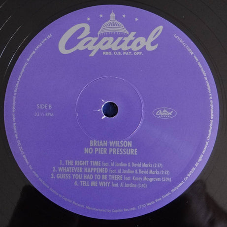 Brian Wilson : No Pier Pressure (2xLP, Album)