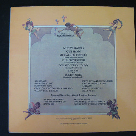 Muddy Waters / Otis Spann / Mike Bloomfield / Paul Butterfield / Donald "Duck" Dunn / Sam Lay : Fathers And Sons (2xLP, Album)