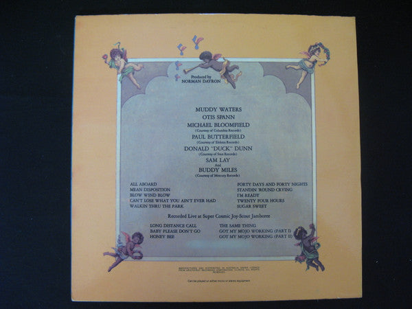 Muddy Waters / Otis Spann / Mike Bloomfield / Paul Butterfield / Donald "Duck" Dunn / Sam Lay : Fathers And Sons (2xLP, Album)