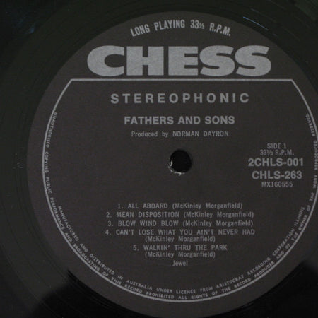 Muddy Waters / Otis Spann / Mike Bloomfield / Paul Butterfield / Donald "Duck" Dunn / Sam Lay : Fathers And Sons (2xLP, Album)