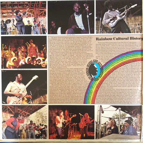 Various : Ann Arbor Blues & Jazz Festival 1972 (2xLP, Album)