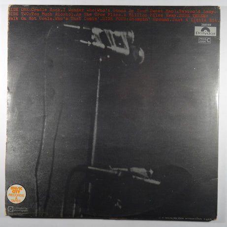 Rory Gallagher : Irish Tour '74 (2xLP, Album)