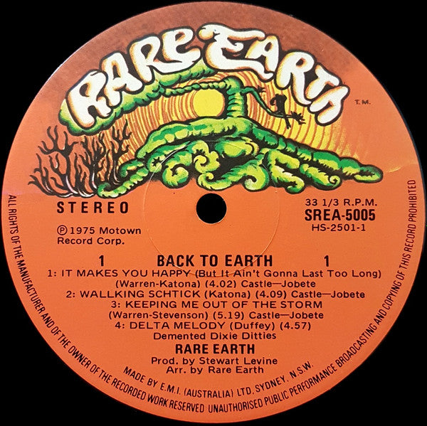 Rare Earth : Back To Earth (LP, Album)