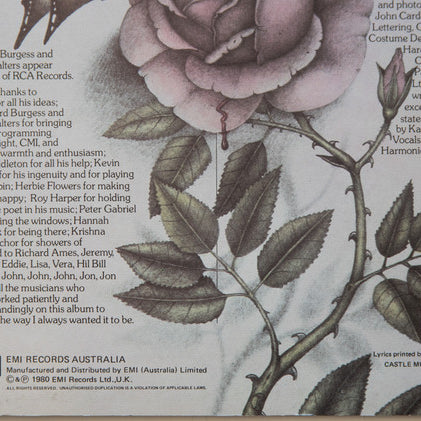 Kate Bush : Never For Ever (LP, Album, Gat)