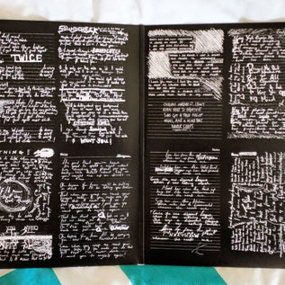 Catfish And The Bottlemen : The Ride (LP, Album)