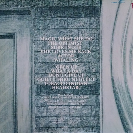 DD Smash : The Optimist (LP, Album)