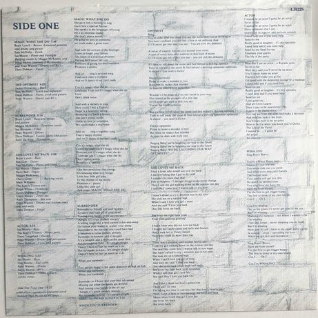 DD Smash : The Optimist (LP, Album)