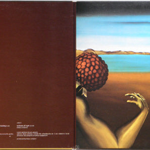 Klaus Schulze : Blackdance (LP, Album)