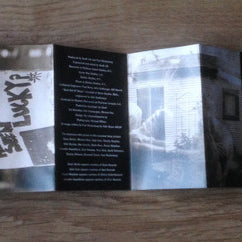 The Replacements : All Shook Down (Cass, Album)