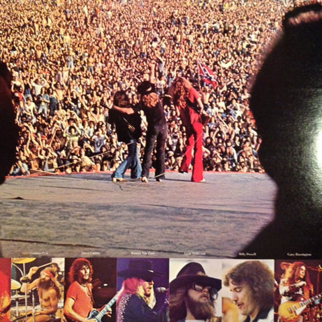 Lynyrd Skynyrd : Skynyrd's First And... Last (LP, Album)